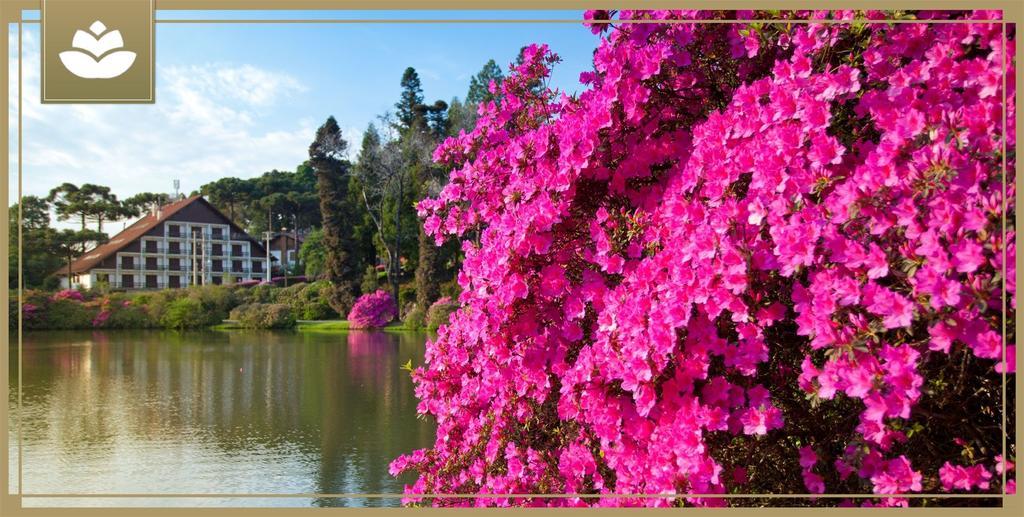 Aluguel Por Temporada Jcl 2 Gramado Dış mekan fotoğraf